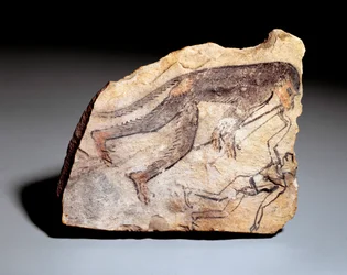 Figurka Ostrakona: opice hrající na dvojitou flétnu (aulos), aby roztančila muže. Z místa Deir el-Medineh (vápenec, cca 1295-1186)