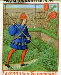 Harl 4425 f.184v Milenec dosáhne růže, z 