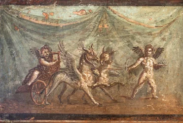 Amor a vůz tažený gryfy, Herculaneum