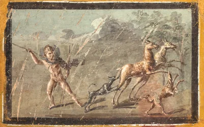 Miluje při lovu, Herculaneum