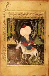 Nasr Eddin Hodja. (Nasreddin Hodja). Postava muslimské literatury, bájný ulema z Turecka, který žil mezi 13. a 15. stoletím, je popisován podle tradice, sedící hlavou dolů na svém oslu. Anonymní miniatura, kvaš na pergamenu, san