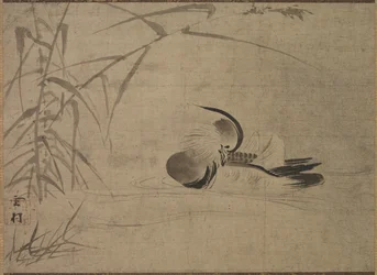 Mandarinská kachna, 1500s.