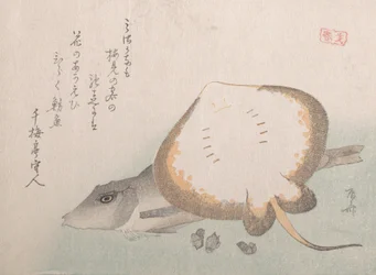 Stingray a Gurnard, pravděpodobně 1815., pravděpodobně 1815.
