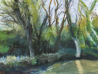 Latchmere Brook, Ham Common (akvarel, olejový pastel, tuš, akryl a grafit na papíře)