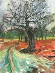 Starý strom, Richmond Park, 2019 (akvarelová tužka a akrylová barva na papíře)