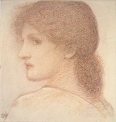 Studie ženské hlavy, otočená doleva, 1886