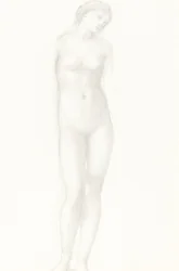 Venuše