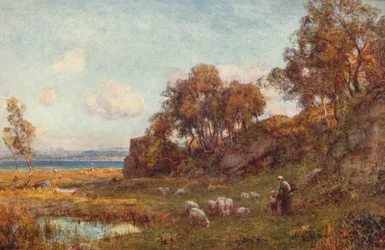 Chráněné pastviny, c1900
