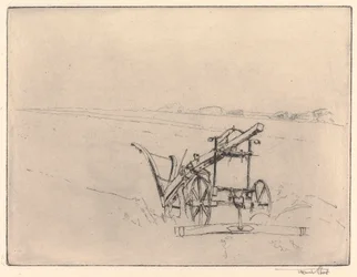 Pluh Norfolk