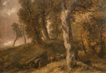 Studie o stromech, 1874.