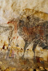 Detail ryté malby koňských hlav, Lascaux.