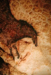 Cválající kůň v jeskyni Lascaux, Francie.