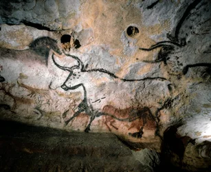 Paleolitické umění býků, jelenů a koní na kalcitových stěnách jeskyně, Lascaux, Francie., 2022 (foto)