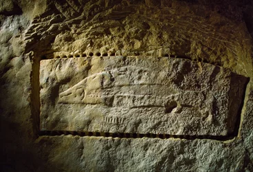 Prehistorická jeskynní rytina zobrazující lososa z Abri du Poisson (Rybí skála)...