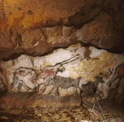 Bájný jednorožec z Lascaux namalovaný před více než 17 000 lety lemuje bílý kalcitový...