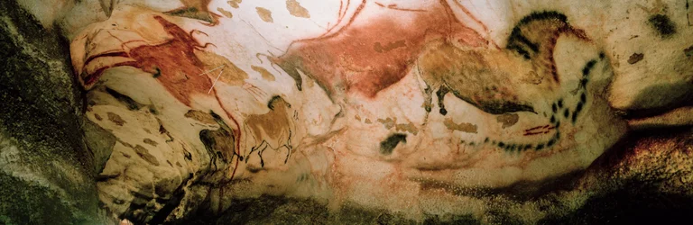 Červené krávy a čínští koně se prohánějí podél stěny v Osové galerii v jeskyni Lascaux.