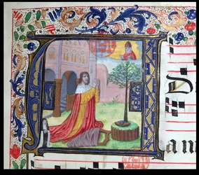 Ms 432 Historická iniciála A, z temporálu používaného sestrami z Kongregace karmelitek v Bruggách, napsala sestra Margarita Bruynewe, 1505 detail pergamenu z roku 215014