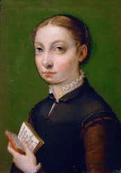 Autoportrét, 1554