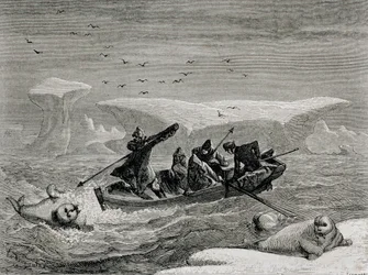 Lov mrožů s harpunami na Špicberkách, souostroví Svalbard, ilustrace z „Návratu do světa“, 1865
