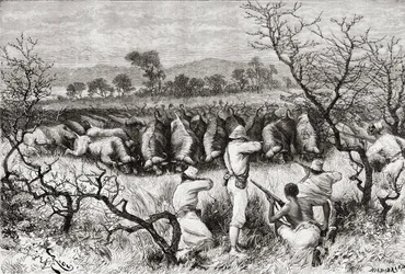 Lov buvolů ve střední Africe na konci 19. století, z „Africa Pintoresca“, vydáno 1888