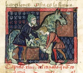 Ms 214 fol.46v Podkovávání koně, z knihy Libro de Menescalcia y Albeyteria od Juana Alvareze, asi 1390