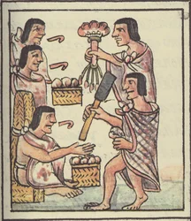 paní Palatová. 218-220 Aztécká hostina z Florentského kodexu od Bernardina de Sahagun, kolem 1540-85