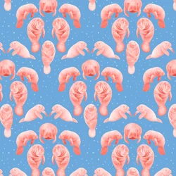 Vzor kapustňák, 2023 (grafitová tužka a digitální tisk)