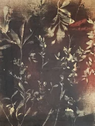 Temná botanická studie