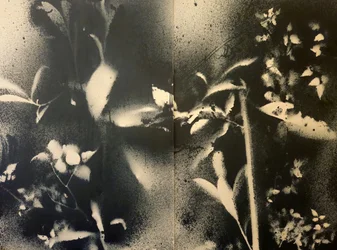 Éterické botanické formy