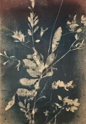 Vintage modré botanické motivy