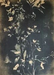 Vintage botanické listy
