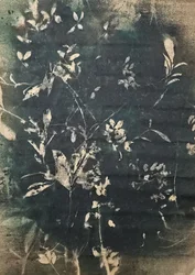 Vintage botanické siluety