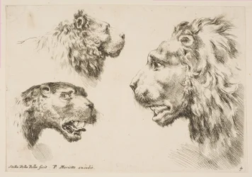 Hlavy tří lvů, ca. 1641.