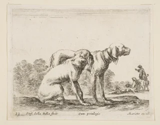 Deska 23: dva psi, od Různá zvířata Diversi animali, ca. 1641.