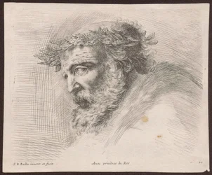 Studie hlavy vousatého starce s vavřínovým věncem, z profilu, obráceného doleva, ze série Principii del disegno