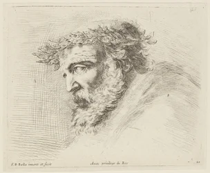 Studie (I principii del disegno, 20)