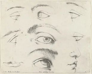 Sedm očí, dvě ústa a nos Základy kreslení (název série) I principii del disegno (název série)