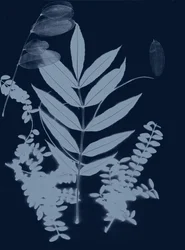 Cyan Foliage 01, 2017 (digitální)