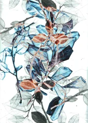 Freyr X, 2018 (digitální)