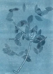 Půlnoční zahrada I, 2015