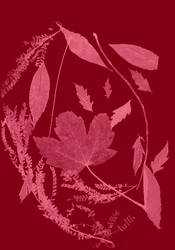 Červené listí, 2017 (digitální)
