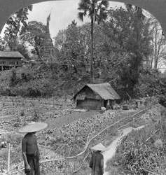 Zeleninová zahrada mezi pagodami, Bhamo, Barma, 1908