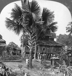 Rodný dům postavený na pilotech, Bhamo, Barma, 1908