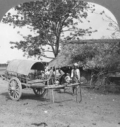 Vesnický dům postavený z bambusu a listí, Barma, 1908.