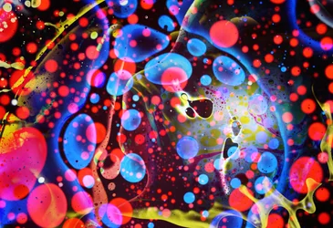 Technicolor, 2024