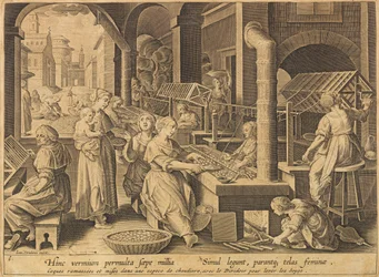 Extrakce hedvábí Vermis sericus, po roce 1640.