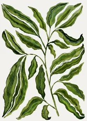 Bio zelené listy