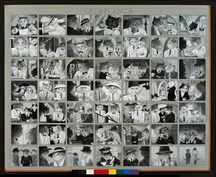 Ilustrace z knihy Cats Galore! A Compendium of Cultured Cats (vyd. 2015)