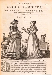 Sestra pečující o pacienta s poraněnou rukou, z De Concepta et Generatione Hominis od Jakoba Rufa, 1587 (tisk a dřevoryt na papíře)