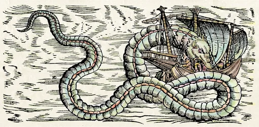 Mořská příšera, ilustrace z knihy "Historiae Animalium", Conrad Gesner